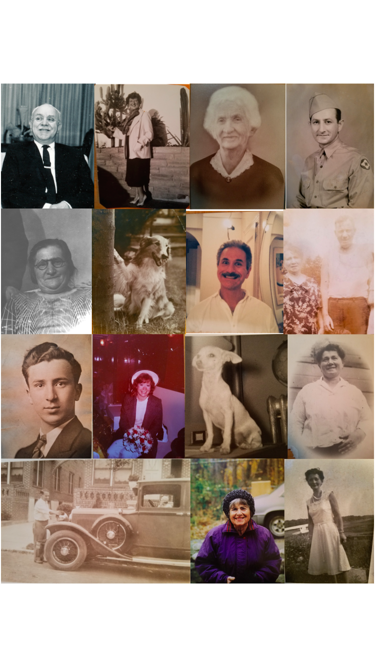 apacjarr photo collage